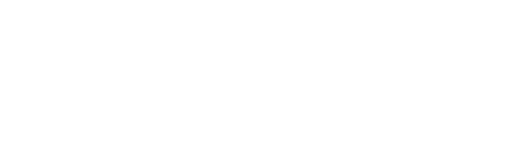Logo araga Footer